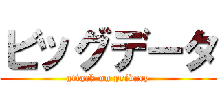 ビッグデータ (attack on privacy)