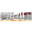 發狂の山豬 (山豬之王)