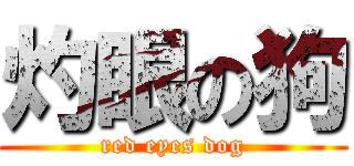 灼眼の狗 (red eyes dog)