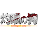 灼眼の狗 (red eyes dog)