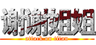 谢谢姐姐 (attack on titan)