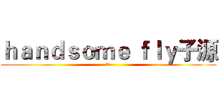 ｈａｎｄｓｏｍｅ ｆｌｙ子源 (子源)