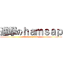進撃のｈａｍｓａｐ (attack on hamsap)