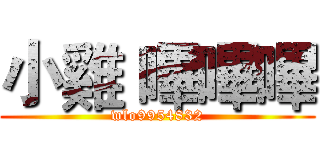 小雞 嗶嗶嗶 (wlo9954832)