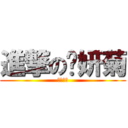 進撃の刘妍菊 (世联地产)