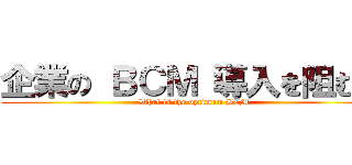 企業の ＢＣＭ 導入を阻む壁 (What is the optimum BCM)