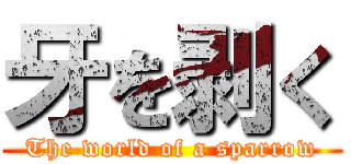 牙を剥く (The world of a sparrow)