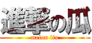 進撃の瓜 (melon liu)