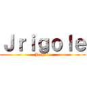 Ｊｒｉｇｏｌｅ (Jrigole)