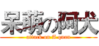 呆萌の阿犬 (attack on A quan)