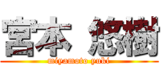宮本 悠樹 (miyamoto yuki)