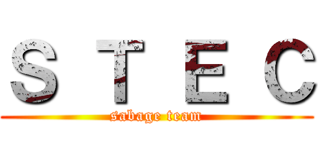 Ｓ Ｔ Ｅ Ｃ (sabage team)