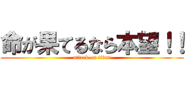 命が果てるなら本望！！ (attack on titan)