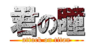 君の瞳 (attack on titan)
