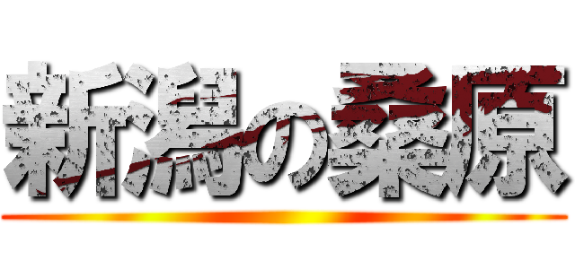新潟の桑原 ()