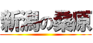新潟の桑原 ()