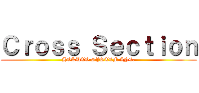 Ｃｒｏｓｓ Ｓｅｃｔｉｏｎ (HOKUTO SYSTEM INC.)