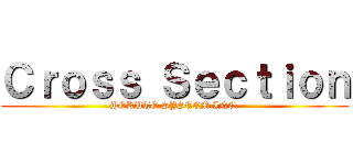 Ｃｒｏｓｓ Ｓｅｃｔｉｏｎ (HOKUTO SYSTEM INC.)