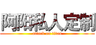 阿阳私人定制 (attack on titan)