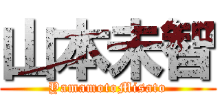 山本未智 (YamamotoMisato)
