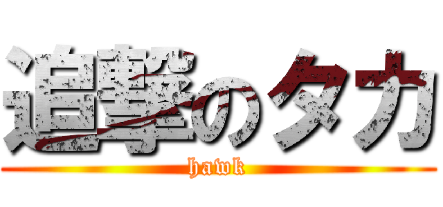 追撃のタカ (hawk)