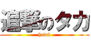 追撃のタカ (hawk)
