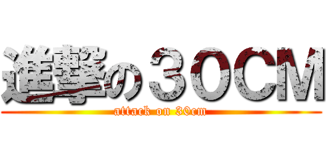 進撃の３０ＣＭ (attack on 30cm)