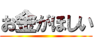 お金がほしい ()