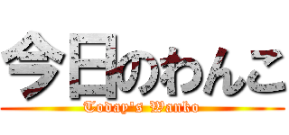 今日のわんこ (Today's Wanko)