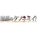 漆黒のクソネミィ〜 (dark of kusonemi)