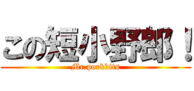 この短小野郎！ (Mr.porkbits)