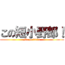 この短小野郎！ (Mr.porkbits)