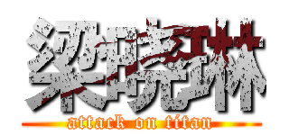 梁晓琳 (attack on titan)