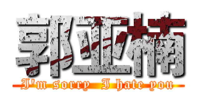 郭亚楠 (I'm sorry  I hate you)