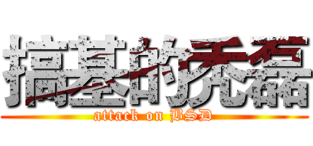搞基的秃磊 (attack on BSD)