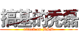 搞基的秃磊 (attack on BSD)
