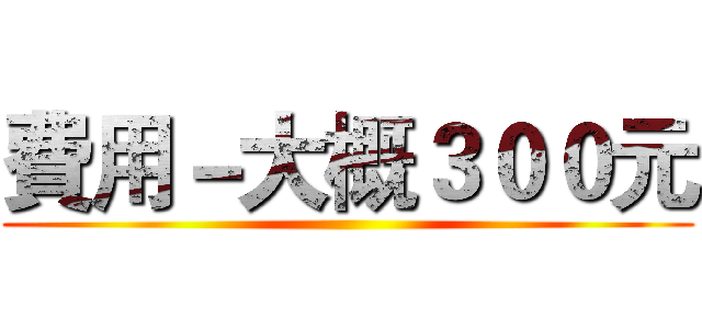 費用－大概３００元 ()