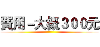 費用－大概３００元 ()