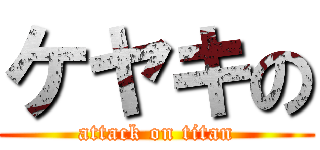 ケヤキの (attack on titan)