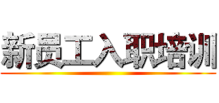 新员工入职培训 ()