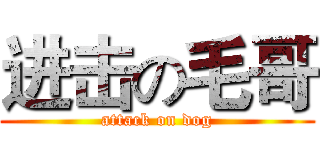 进击の毛哥 (attack on dog)