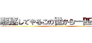 駆逐してやるこの世から一匹残らず (attack on titan)