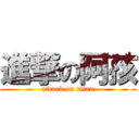 進撃の阿孩 (attack on titan)