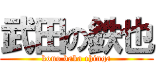 武田の鉄也 (kono baka chinga)