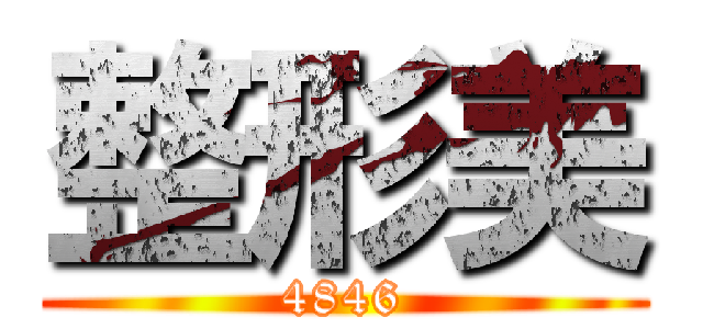 整形美 (4846)