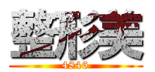 整形美 (4846)
