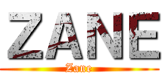 ＺＡＮＥ (Zane)