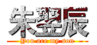 朱翌辰 (You are my son)