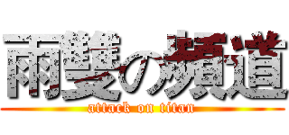 雨雙の頻道 (attack on titan)