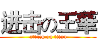 进击の王華 (attack on titan)